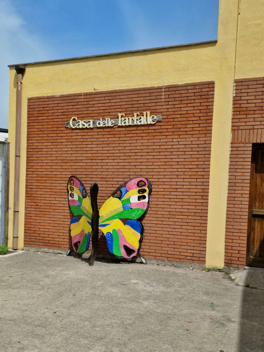 Scoprire la Sicilia: un viaggio alle pendici dell’Etna tra  la Casa delle Farfalle e il Museo dell’Etna di Viagrande